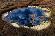 Upper Geyser Basin Dark Pool Reflection 18-3175